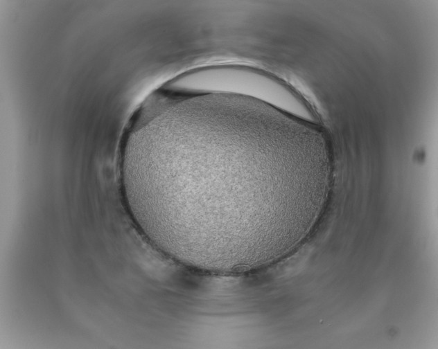 X0000090451173200707272209