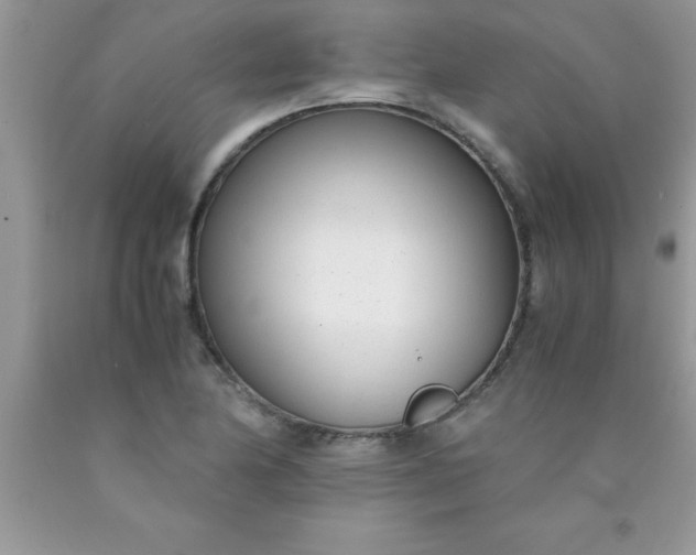 X0000090451174200707272209