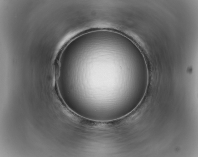 X0000090451175200707272209