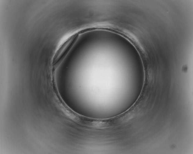 X0000090451176200707272209