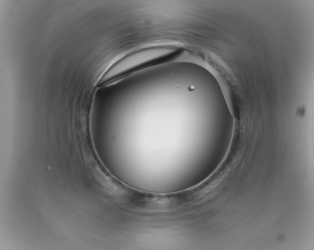 X0000090451177200707272209