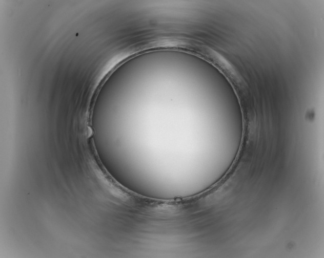 X0000090451178200707272209