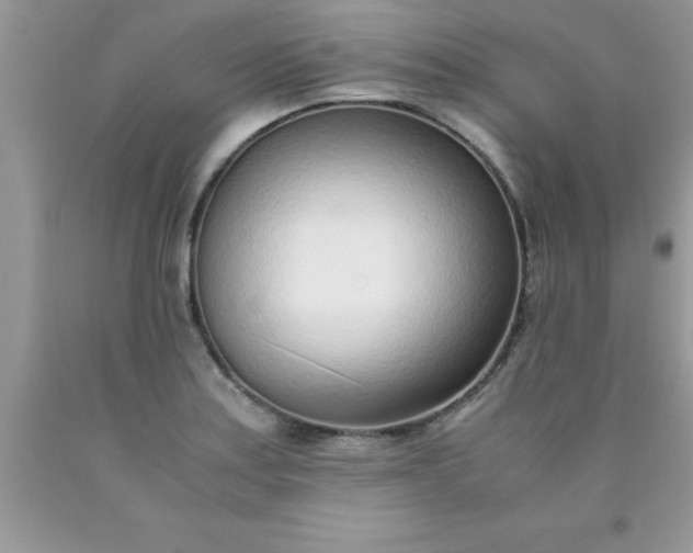 X0000090451179200707272209