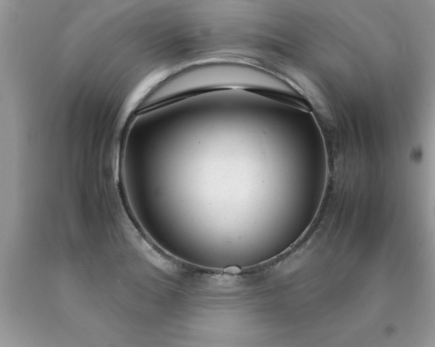 X0000090451180200707272209