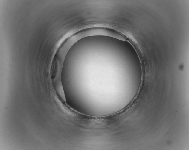 X0000090451181200707272209