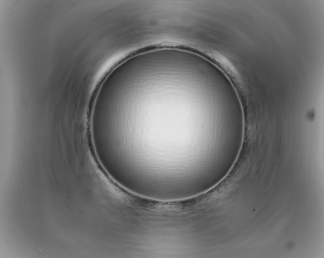 X0000090451183200707272209