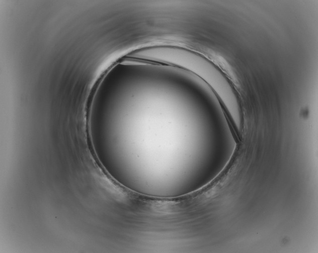 X0000090451184200707272209