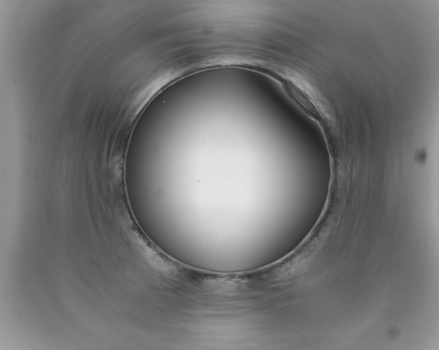 X0000090451185200707272209