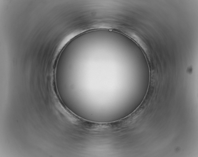 X0000090451187200707272209