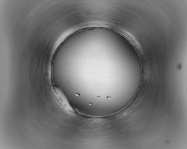 X0000090451188200707272209