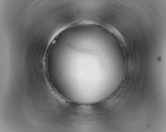 X0000090451190200707272209