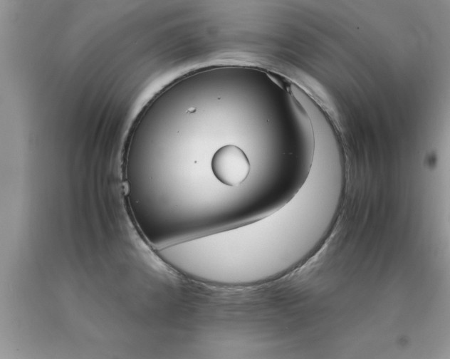 X0000090451192200707272209