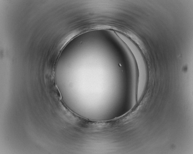 X0000090451193200707272209