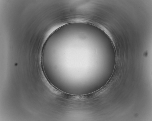 X0000090451195200707272209