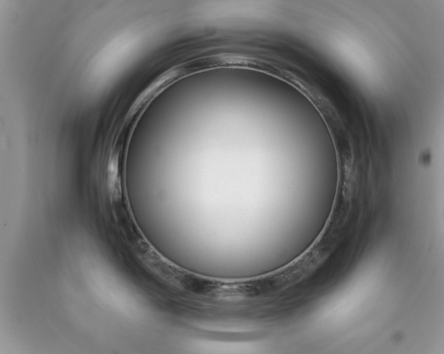 X0000090451198200707272209