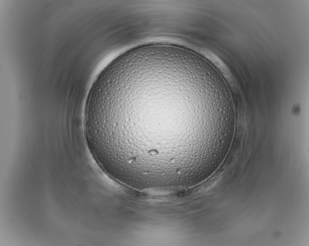 X0000090451199200707272209