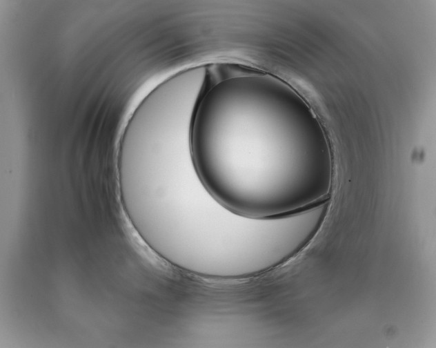 X0000090451200200707272209