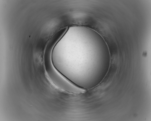 X0000090451202200707272208