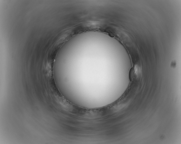 X0000090451203200707272208