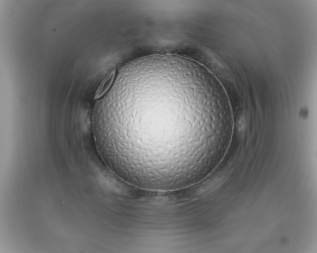 X0000090451204200707272208