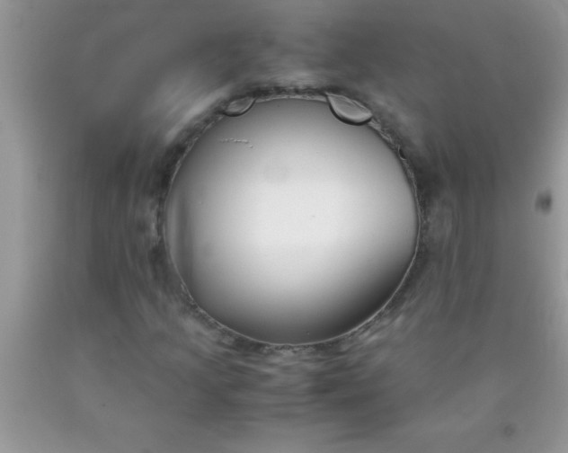 X0000090451205200707272208