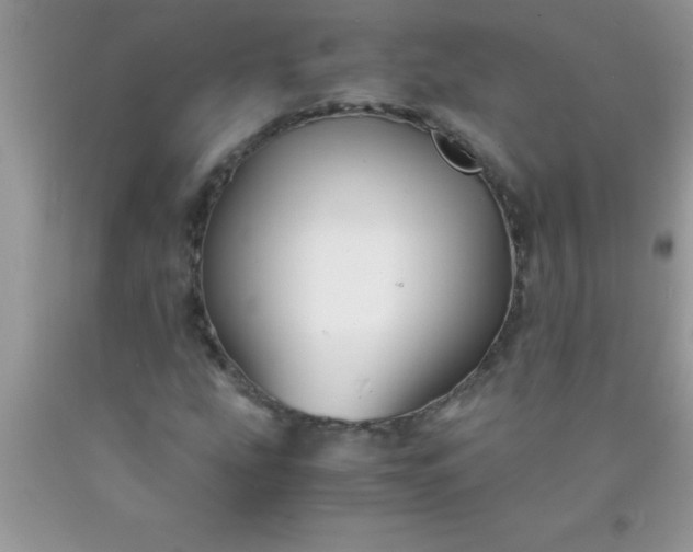 X0000090451207200707272208