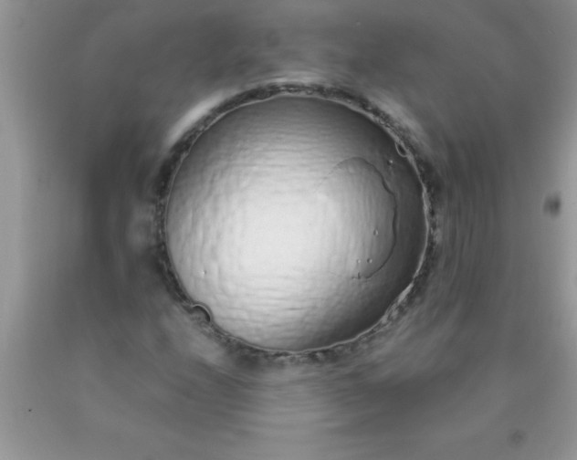 X0000090451208200707272208