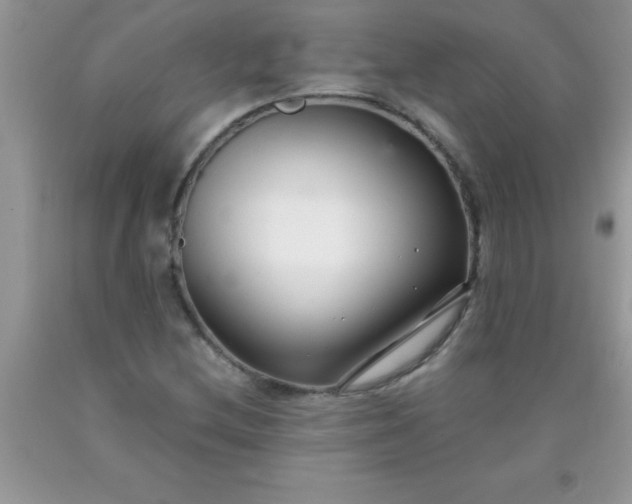 X0000090451212200707272208