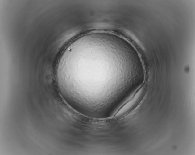 X0000090451213200707272208