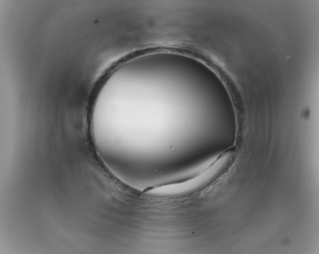 X0000090451214200707272208