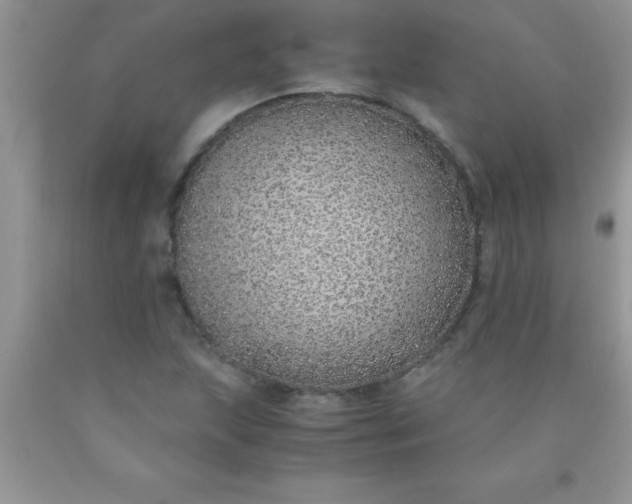 X0000090451215200707272208