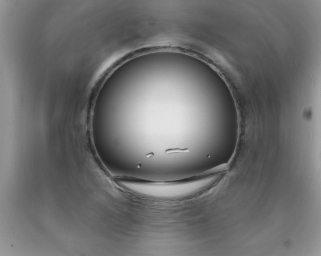 X0000090451216200707272208