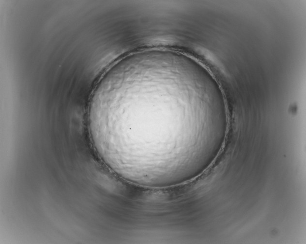 X0000090451217200707272208