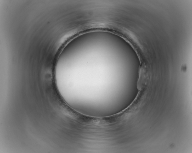 X0000090451218200707272208