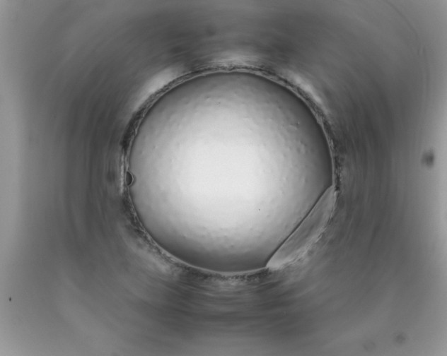 X0000090451219200707272208