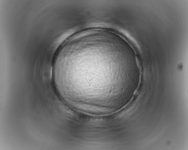 X0000090451221200707272208