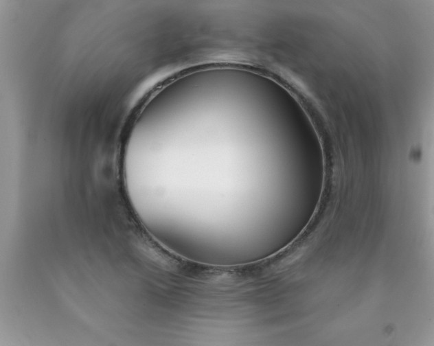 X0000090451222200707272208