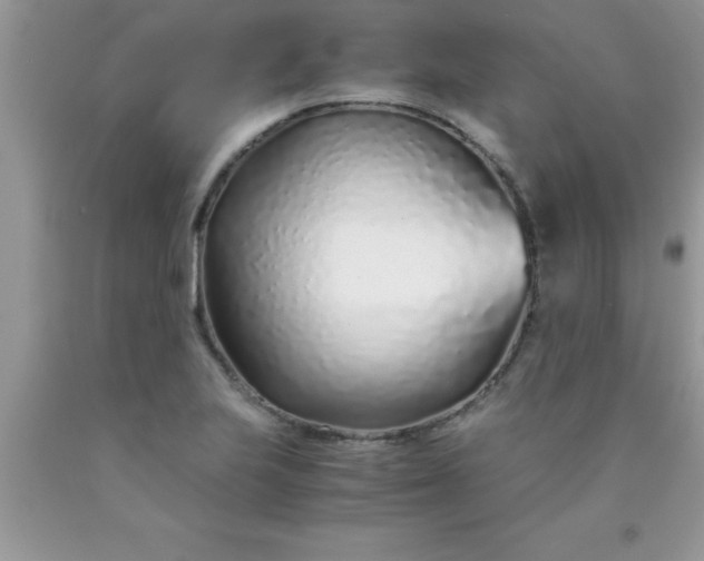 X0000090451223200707272208