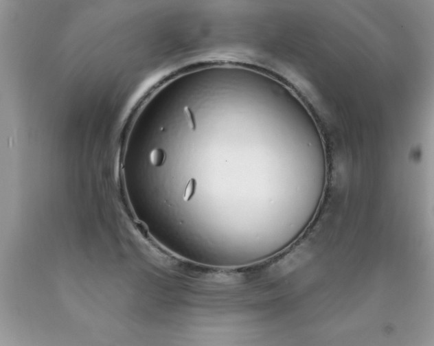 X0000090451224200707272208