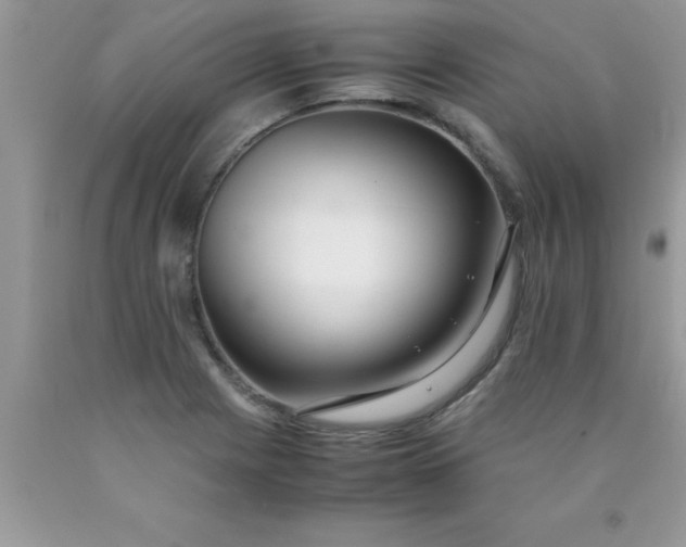 X0000090451225200707272208