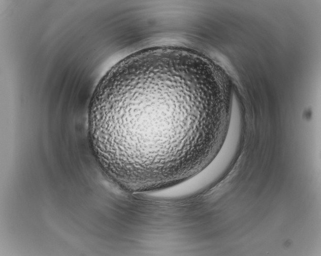 X0000090451226200707272208