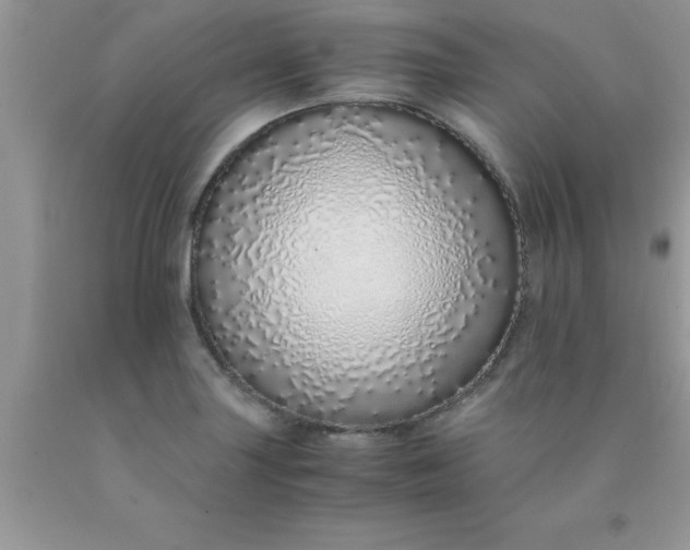 X0000090451227200707272208