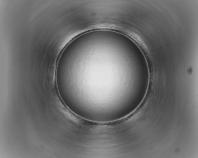 X0000090451228200707272209