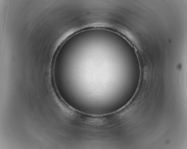 X0000090451229200707272209