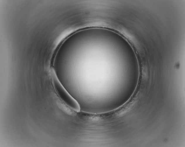 X0000090451230200707272209