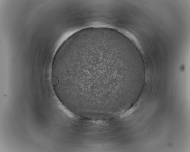 X0000090451231200707272209