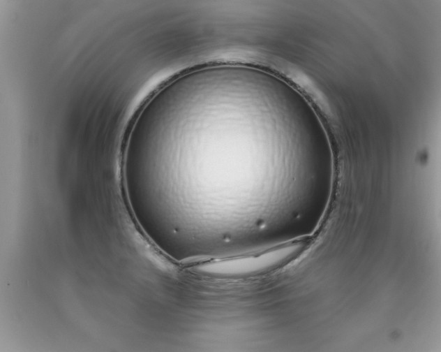 X0000090451232200707272209