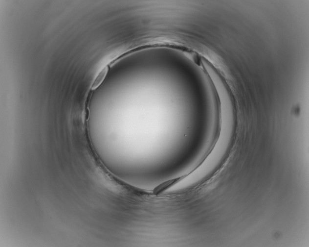 X0000090451234200707272209