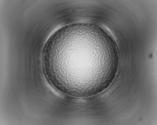 X0000090451235200707272209