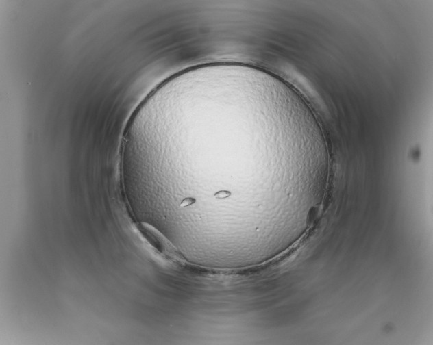 X0000090451236200707272209